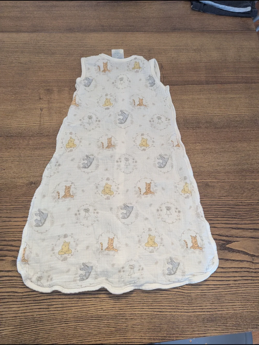 EUC Disney Baby Aden + Anais Classic Winnie the Pooh M 6-12 month sleep sack